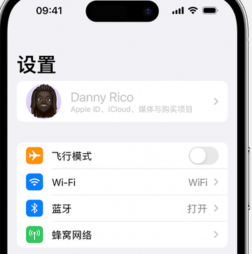 甘肃appleID维修服务iPhone设置中Apple ID显示为灰色无法使用 