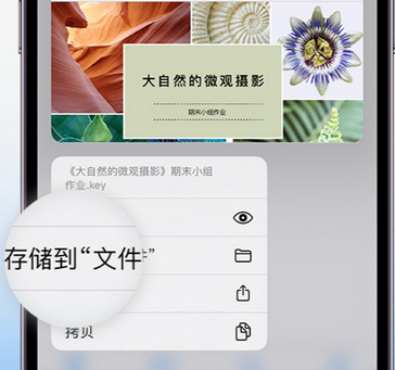 甘肃apple维修中心分享iPhone文件应用中存储和找到下载文件