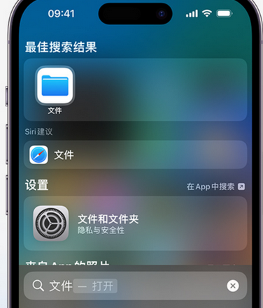 甘肃apple维修中心分享iPhone文件应用中存储和找到下载文件 