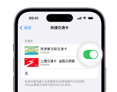 甘肃apple维修点分享iPhone上更换Apple Pay快捷交通卡手绘卡面 