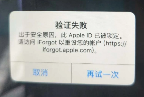 甘肃iPhone维修分享iPhone上正常登录或使用AppleID怎么办 