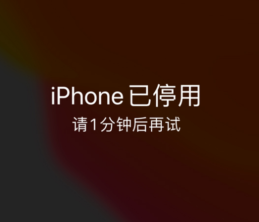 甘肃苹果手机维修分享:iPhone 显示“不可用”或“已停用”怎么办？还能保留数据吗？ 