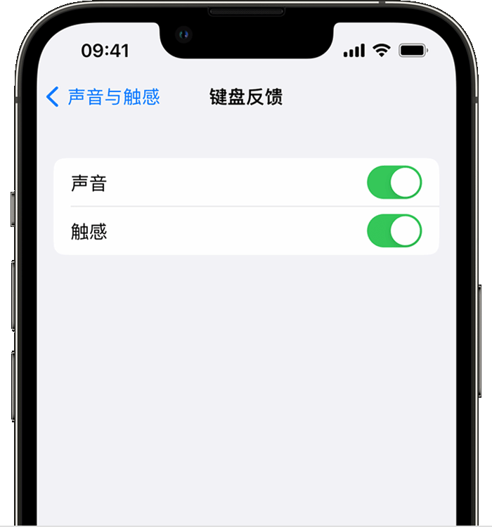 甘肃苹果14维修店分享如何在 iPhone 14 机型中使用触感键盘 