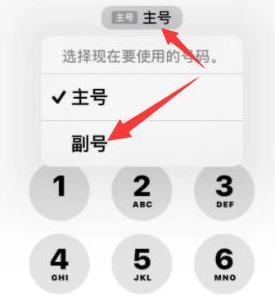 甘肃苹果14维修店分享iPhone 14 Pro Max使用副卡打电话的方法 