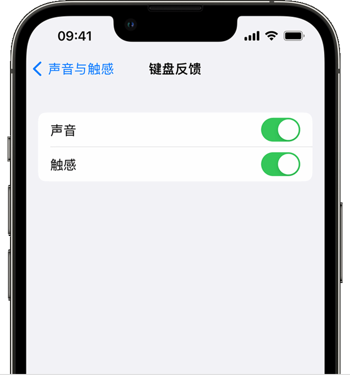 甘肃苹果14维修分享iPhone 14 系列机型如何开启键盘声音或触感反馈 