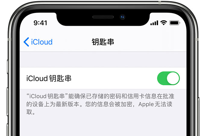 甘肃苹果手机维修分享在 iPhone 上开启 iCloud 钥匙串之后会储存哪些信息 