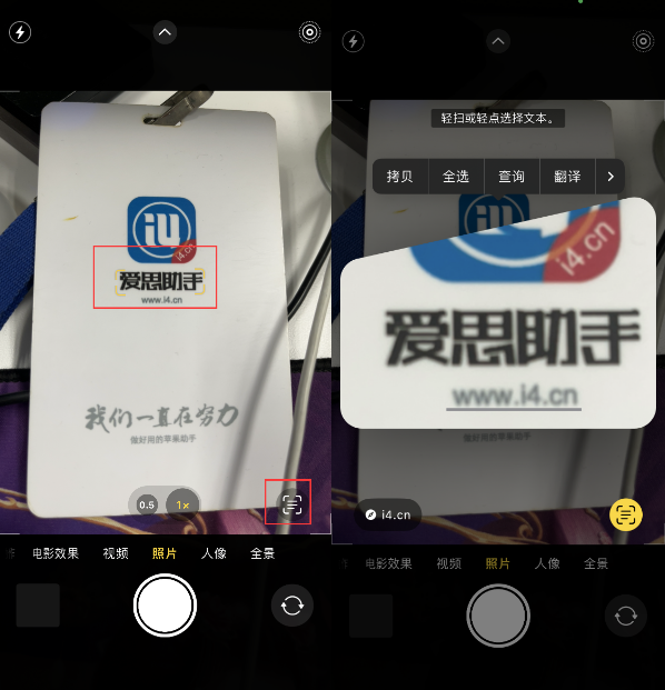 甘肃苹果手机维修分享升级iOS 16后如何通过相机翻译文本 