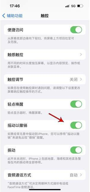 甘肃苹果手机维修分享iPhone手机如何设置摇一摇删除文字 