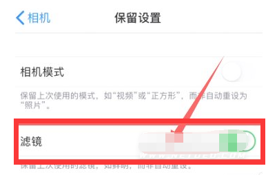 甘肃苹果13维修分享iPhone13拍照有绿点是怎么回事 
