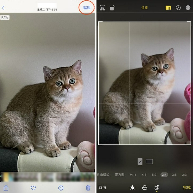 甘肃苹果手机维修分享苹果 iPhone 12 Pro 拍照会过度锐化 