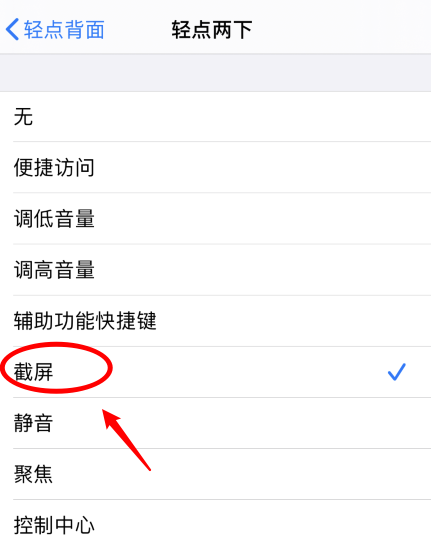 甘肃苹果手机维修分享iPhone12如何启用双击截屏 