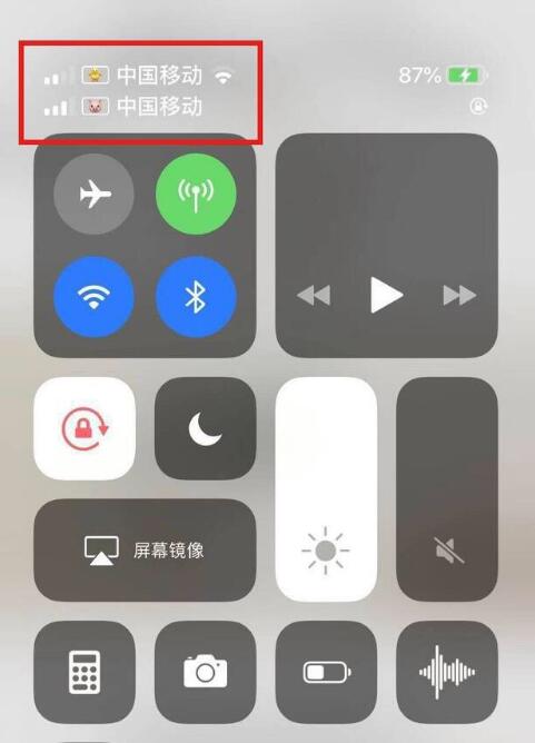 甘肃苹果手机维修分享为 iPhone 12 双卡设置标签 